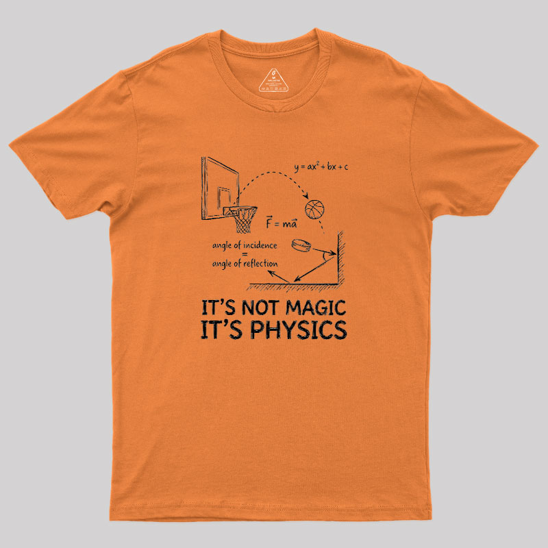 It Is Physics Geek T-Shirt