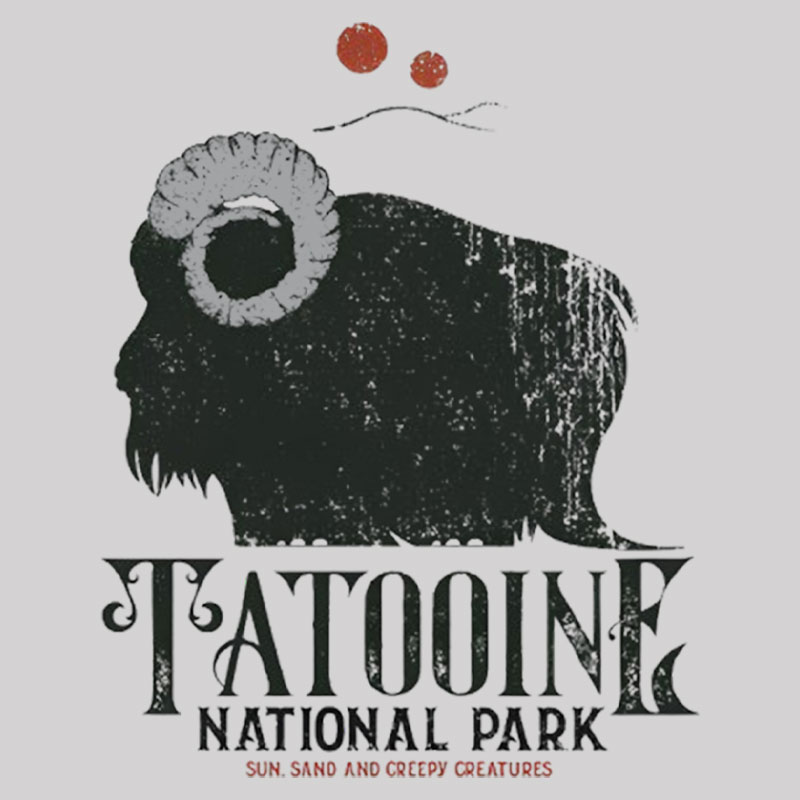 Vintage National Park Geek T-Shirt