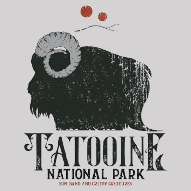 Vintage National Park Geek T-Shirt
