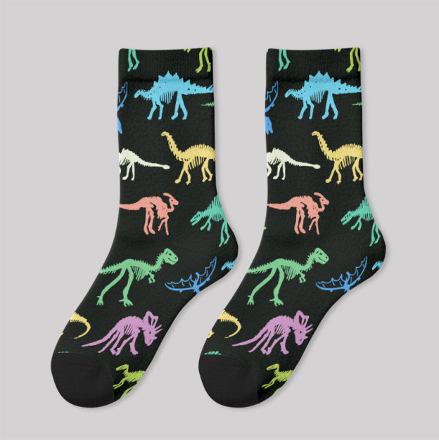 Dinosaur World Men's Socks