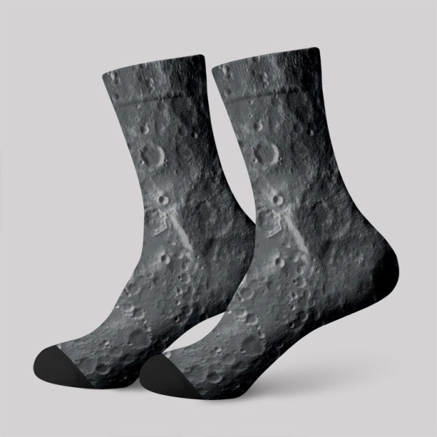 Lunar Surface Men's Socks