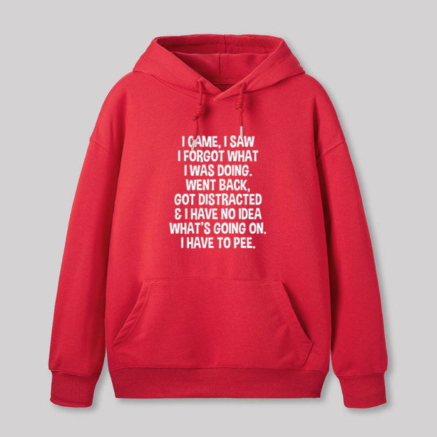 I Came I Saw I Forgot What I Was Doing Geek Hoodie