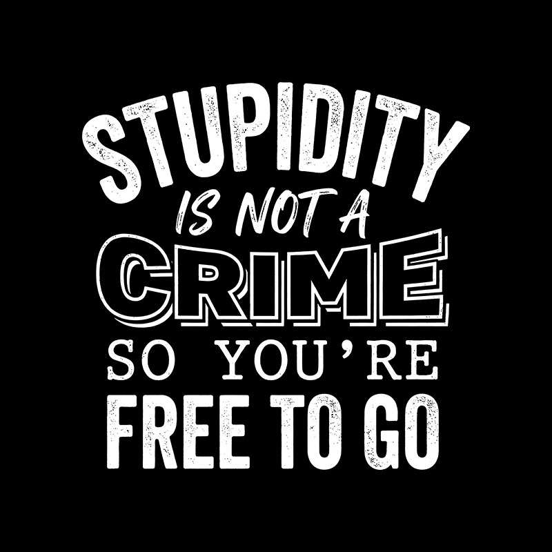 Stupidity Is Not A Crime Geek T-Shirt