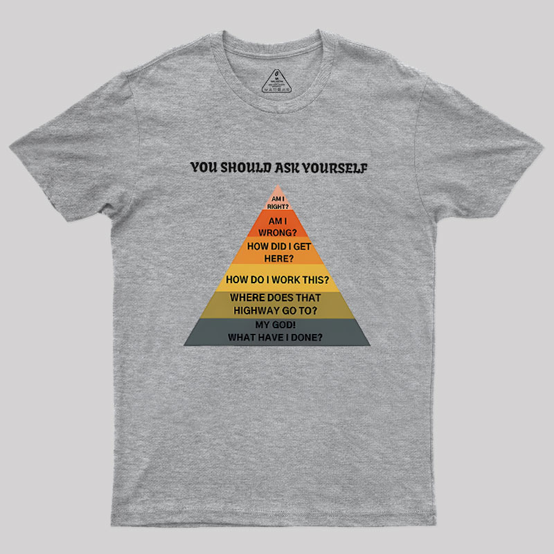 You Should Ask Yourself Geek T-Shirt