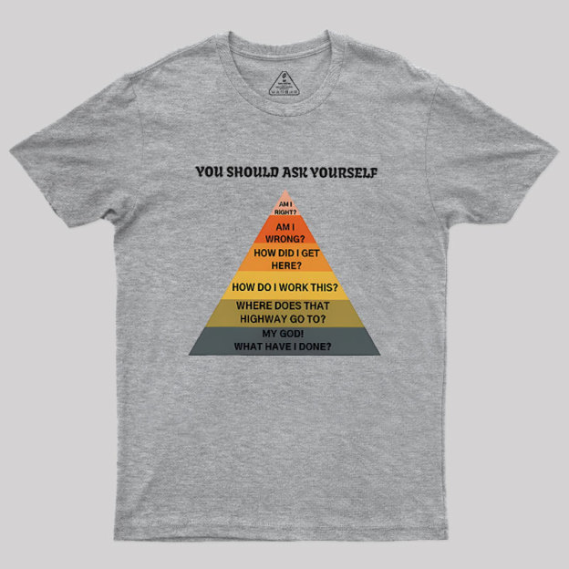 You Should Ask Yourself Geek T-Shirt