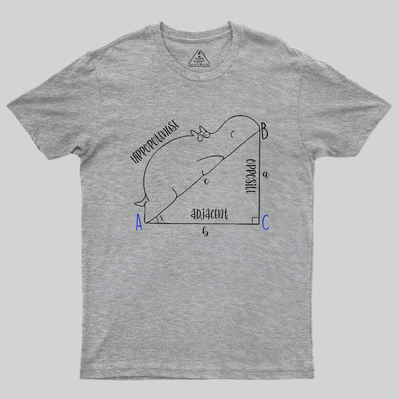 Interesting Math Geek T-Shirt