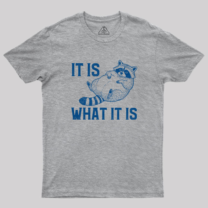 This Is What It Is Geek T-Shirt