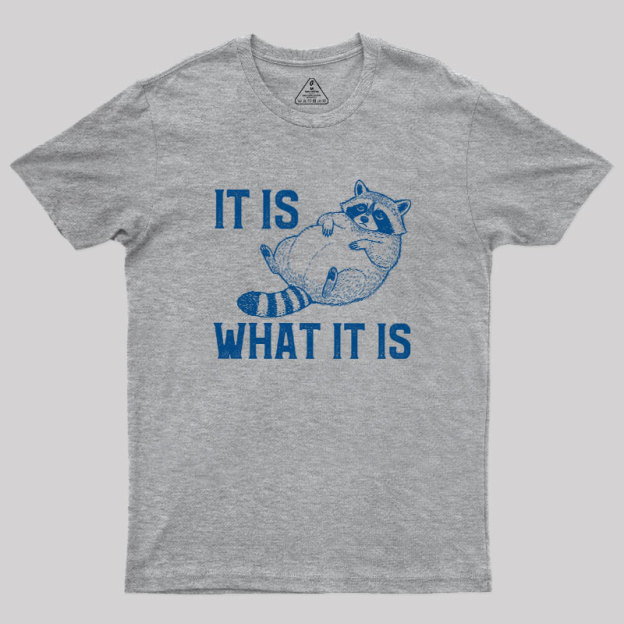 This Is What It Is Geek T-Shirt