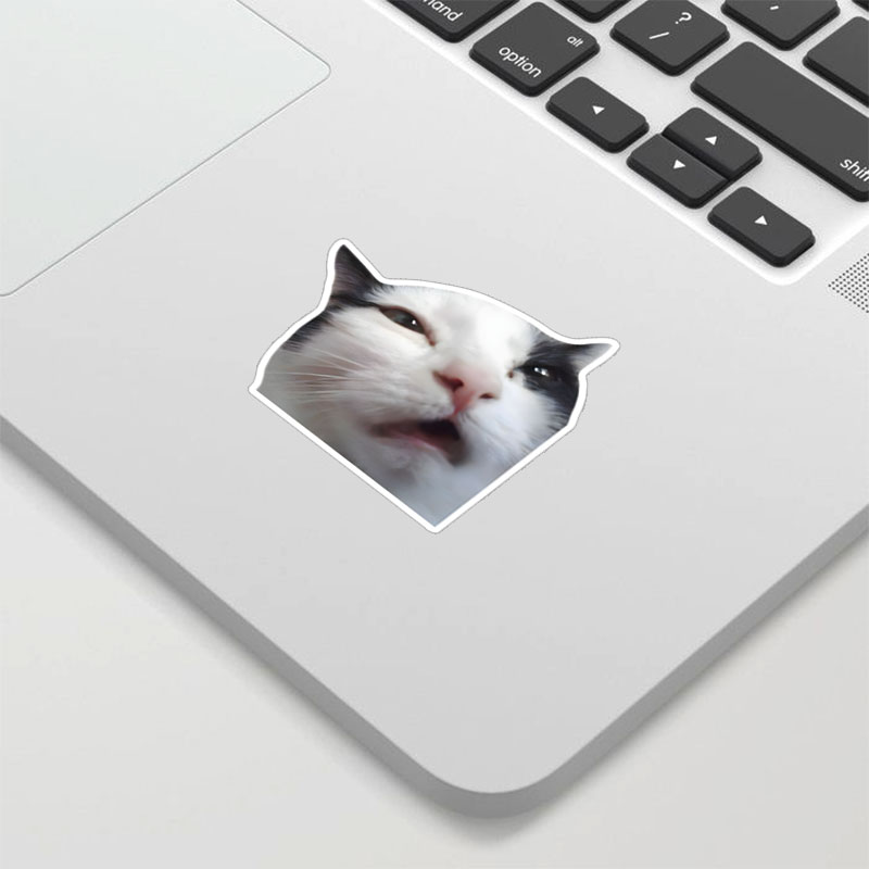 Confusing Cat Funny Geek Sticker