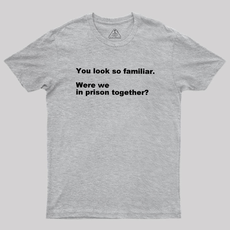 Were We in Prison Together Geek T-Shirt