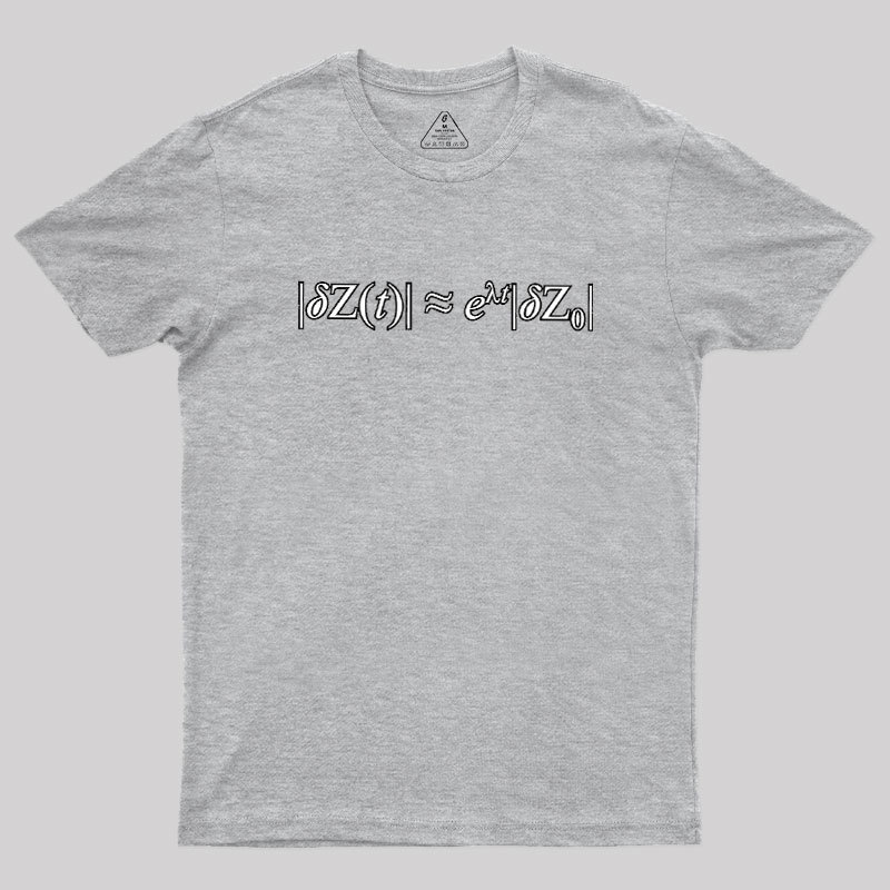 Chaos Theory Geek T-Shirt