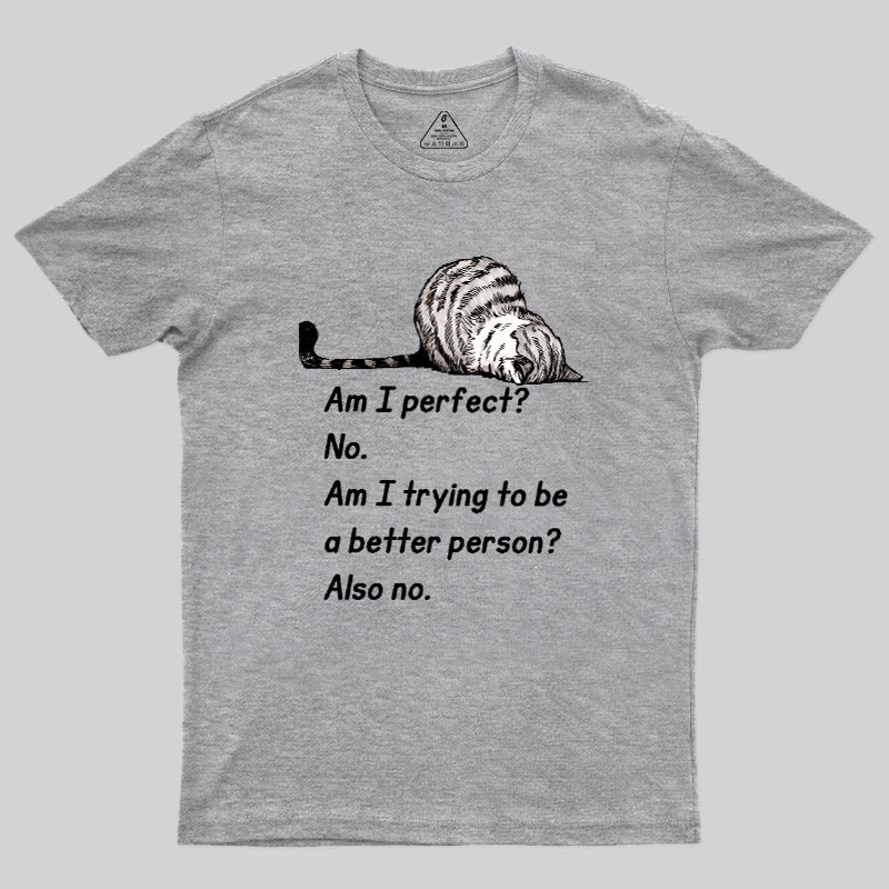 Am I Perfect No Geek T-Shirt