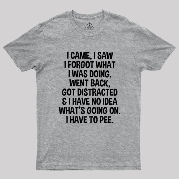 I Came I Saw I Forgot What I Was Doing Geek T-Shirt