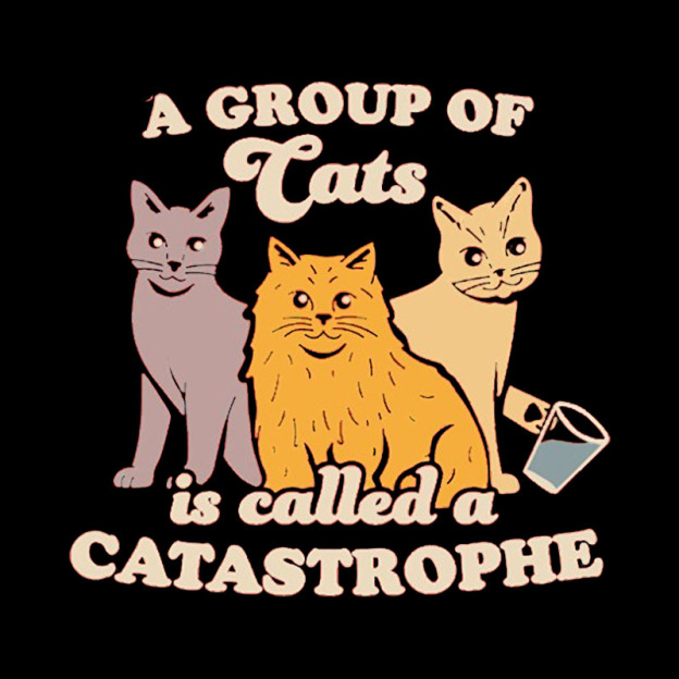A Catastrophe Geek T-Shirt