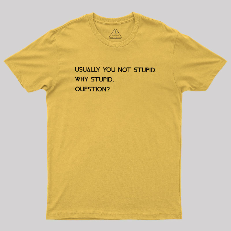 Why Stupid Question Geek T-Shirt