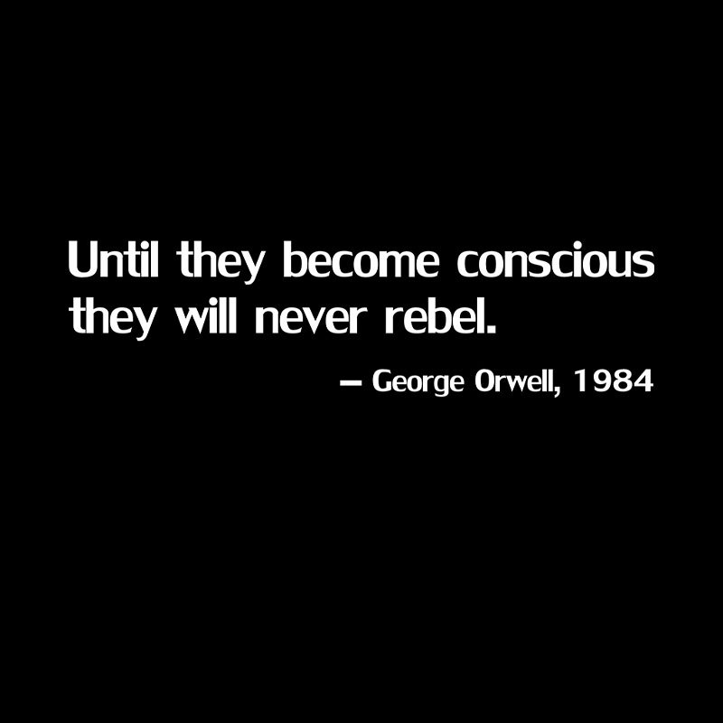 Before Rebellion Geek T-Shirt