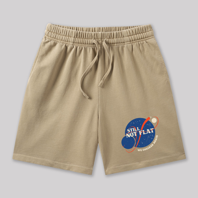 Still Not Flat Geeky Washed Shorts