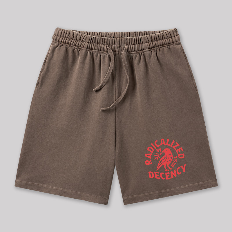 Radicalized By Basic Decency Geeky Washed Shorts