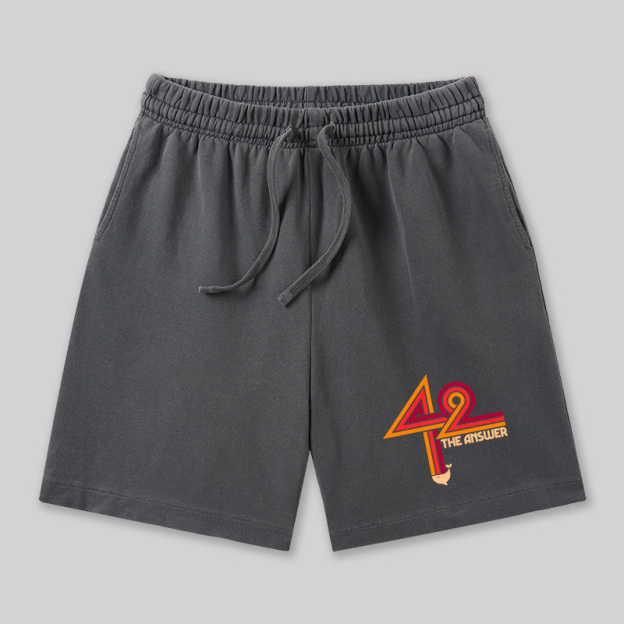 42 The Ultimate Answer Geeky Washed Shorts