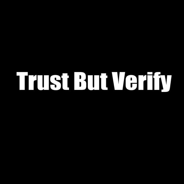 Trust But Verify Geek T-Shirt