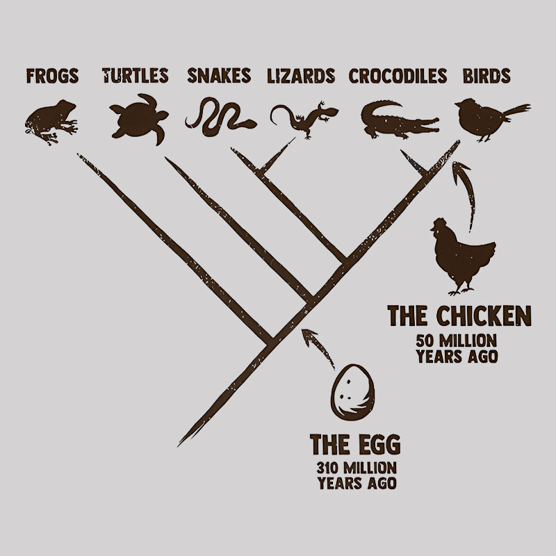 The Chicken And The Egg Geek T-Shirt