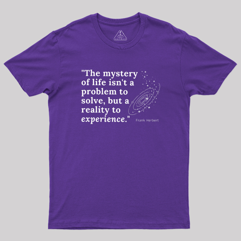 A Reality to Experience Geek T-Shirt