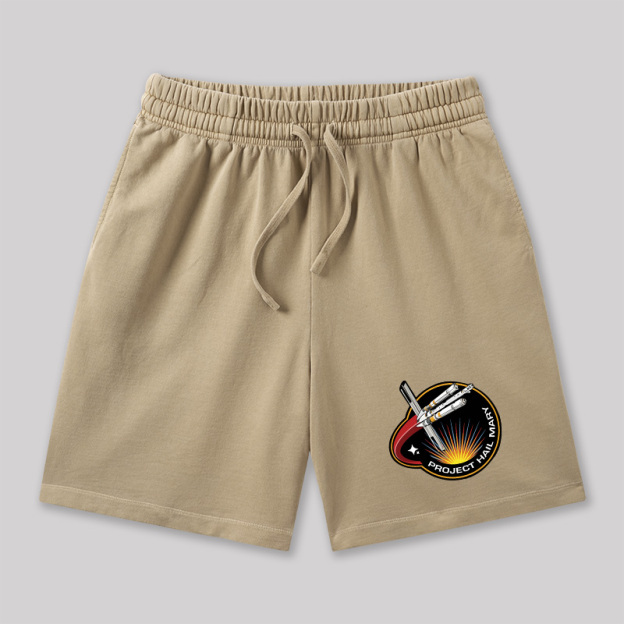 Project Savior Geeky Washed Shorts