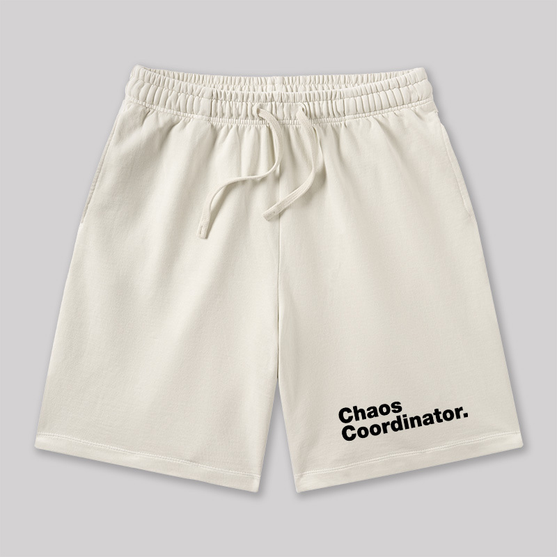 Chaos Coordinator Geeky Washed Shorts