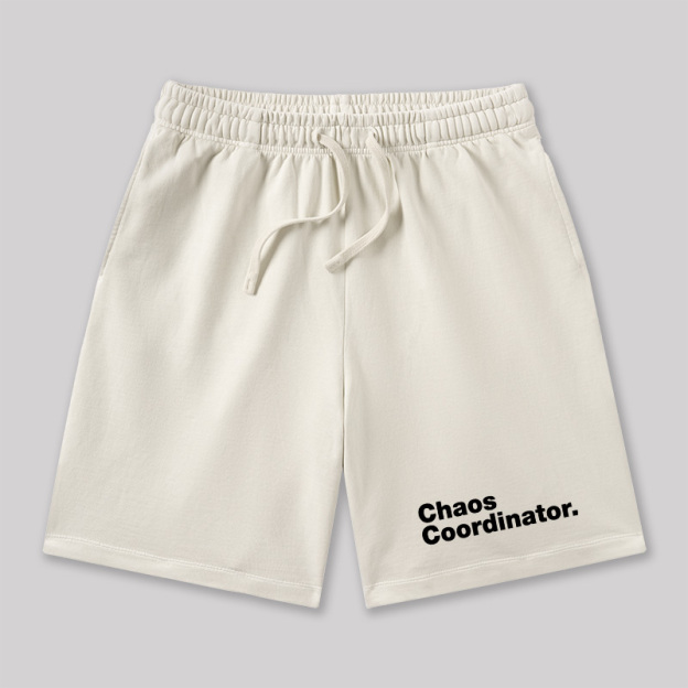 Chaos Coordinator Geeky Washed Shorts