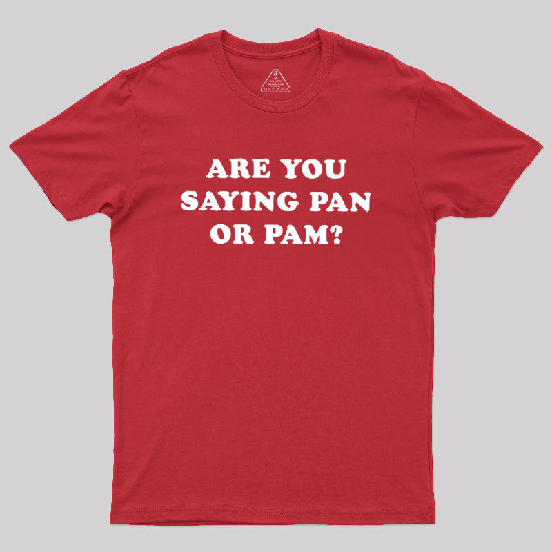 Are You Saying Pan Or Pam Geek T-Shirt