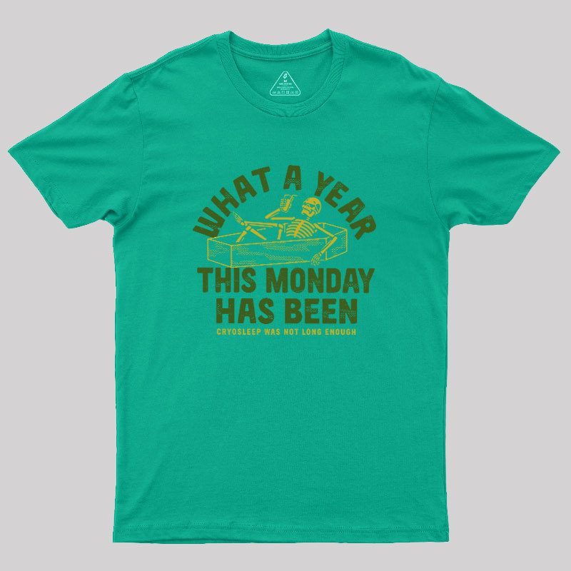 What A Year This Monday Has Been Geek T-Shirt