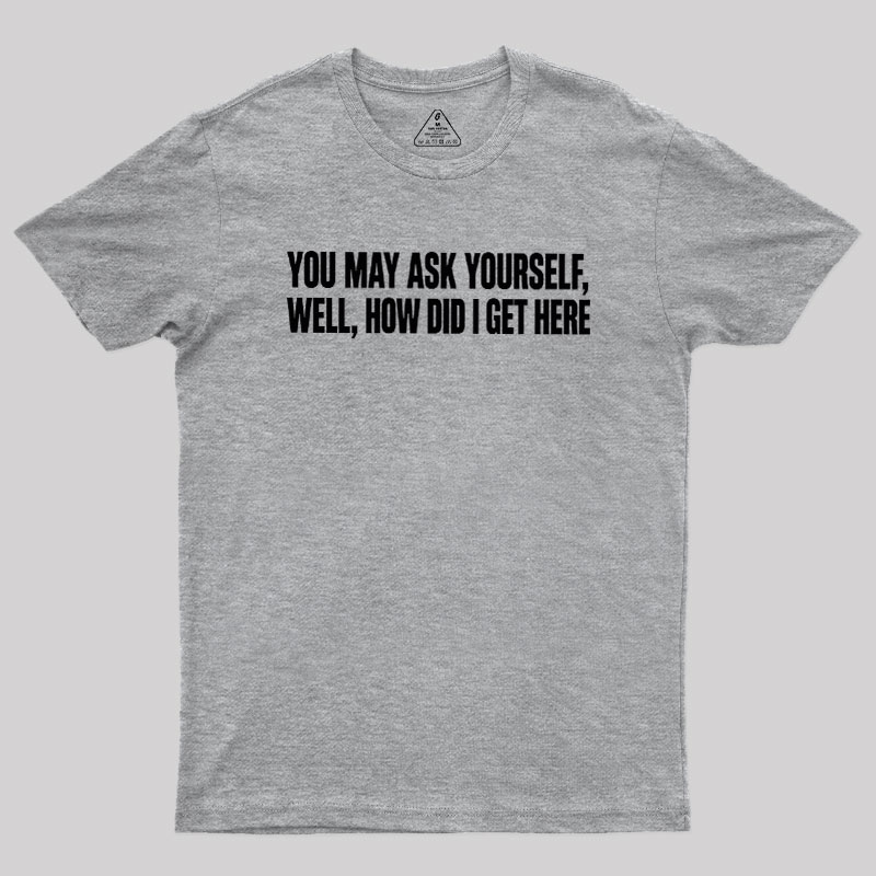 You May Ask Yourself Well How Did I Get Here Geek T-Shirt