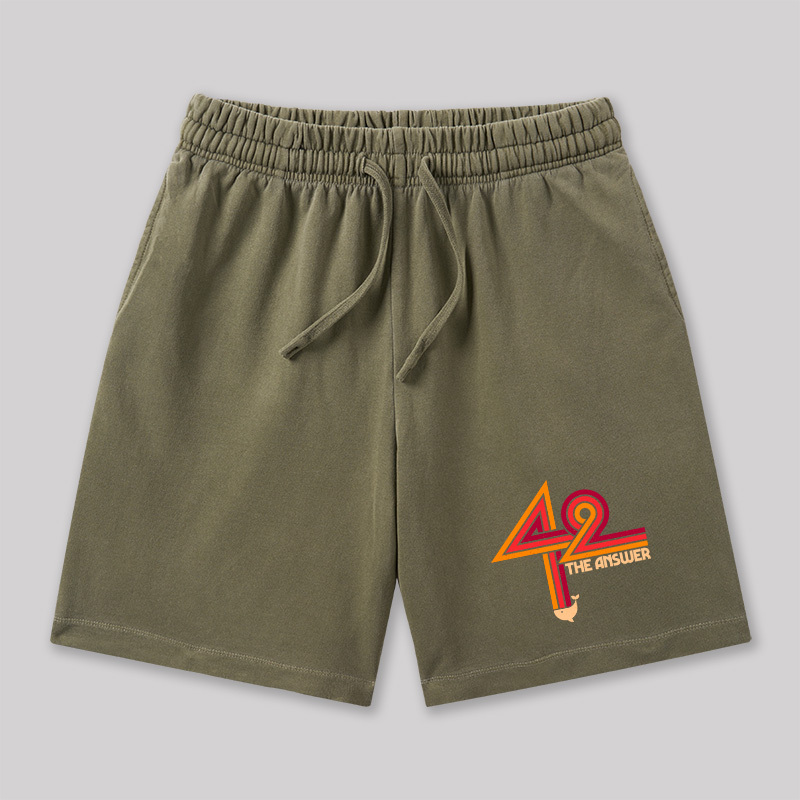 42 The Ultimate Answer Geeky Washed Shorts