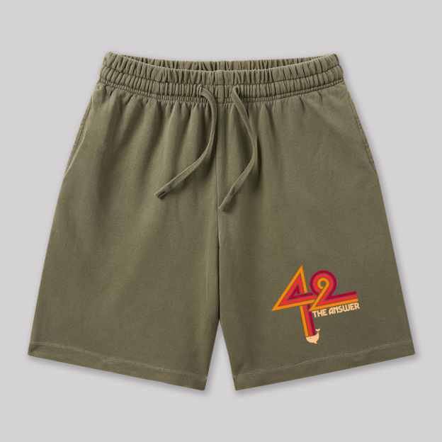 42 The Ultimate Answer Geeky Washed Shorts