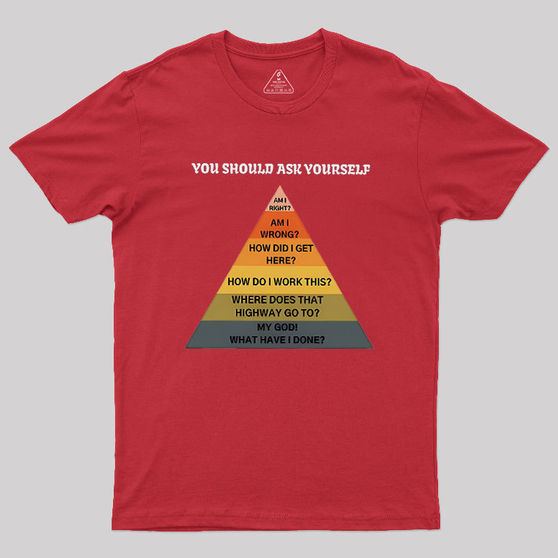 You Should Ask Yourself Geek T-Shirt