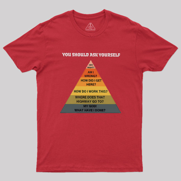 You Should Ask Yourself Geek T-Shirt