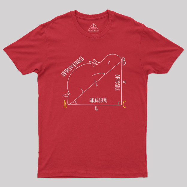 Interesting Math Geek T-Shirt