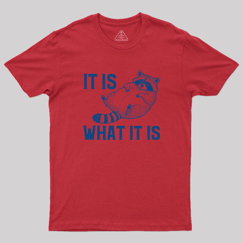 This Is What It Is Geek T-Shirt