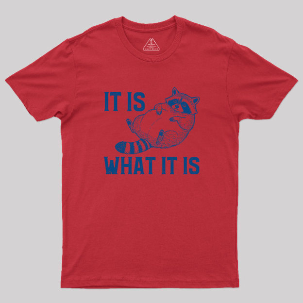 This Is What It Is Geek T-Shirt