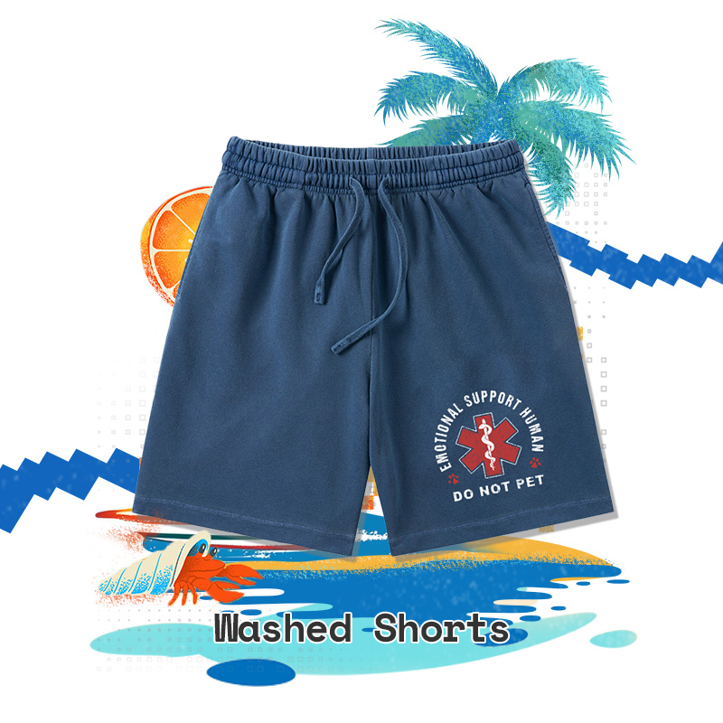 Geeky Washed Shorts