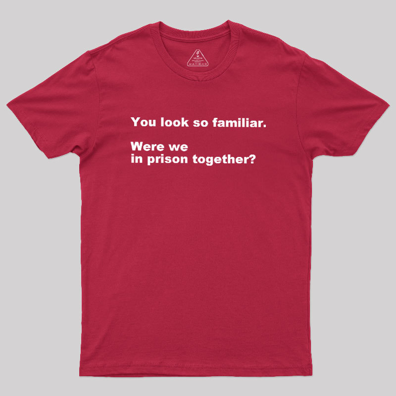Were We in Prison Together Geek T-Shirt