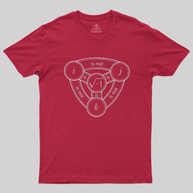 Divine Algebraic Confusion Geek T-Shirt