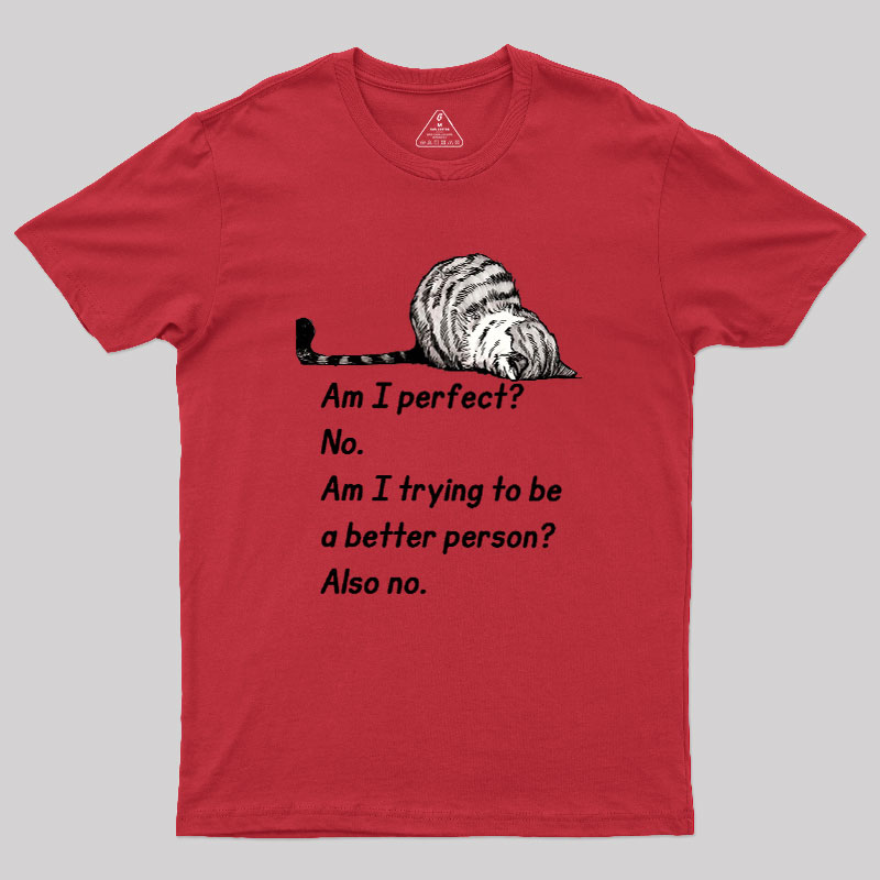 Am I Perfect No Geek T-Shirt