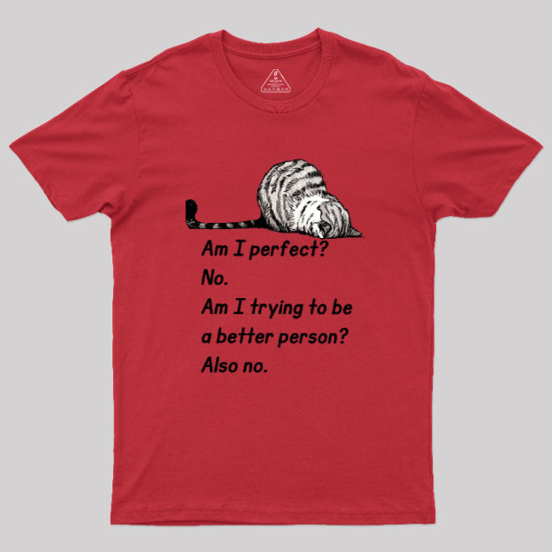 Am I Perfect No Geek T-Shirt
