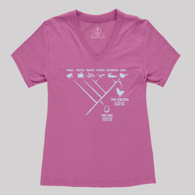 The Chicken And The Egg Geek Women's V-Neck T-shirt