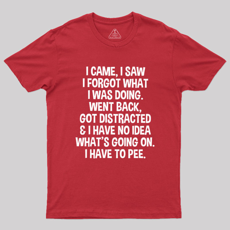 I Came I Saw I Forgot What I Was Doing Geek T-Shirt
