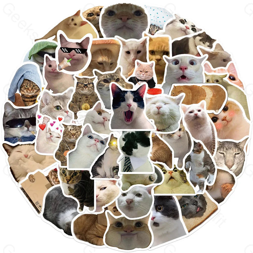 50 Cat Expression Pack Graffiti Computer Luggage Stickers Gt216