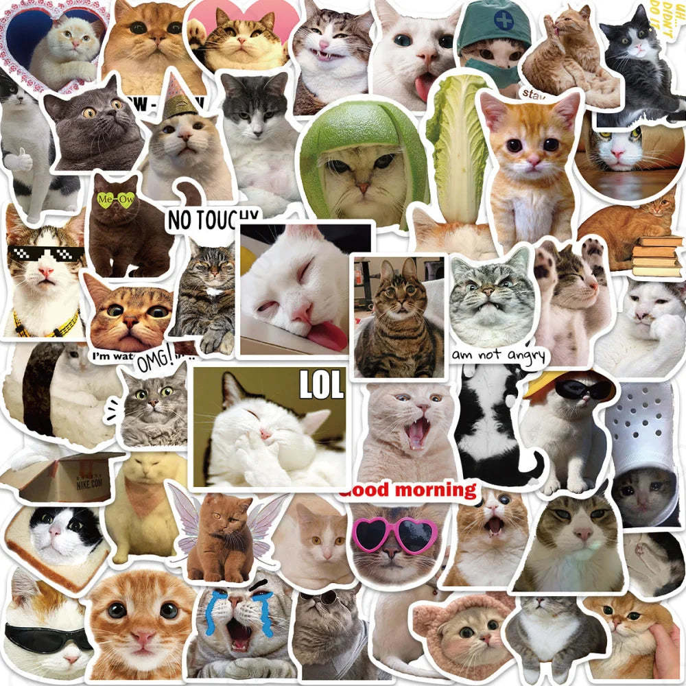 50 Cat Expression Pack Graffiti Computer Luggage Stickers Uu029