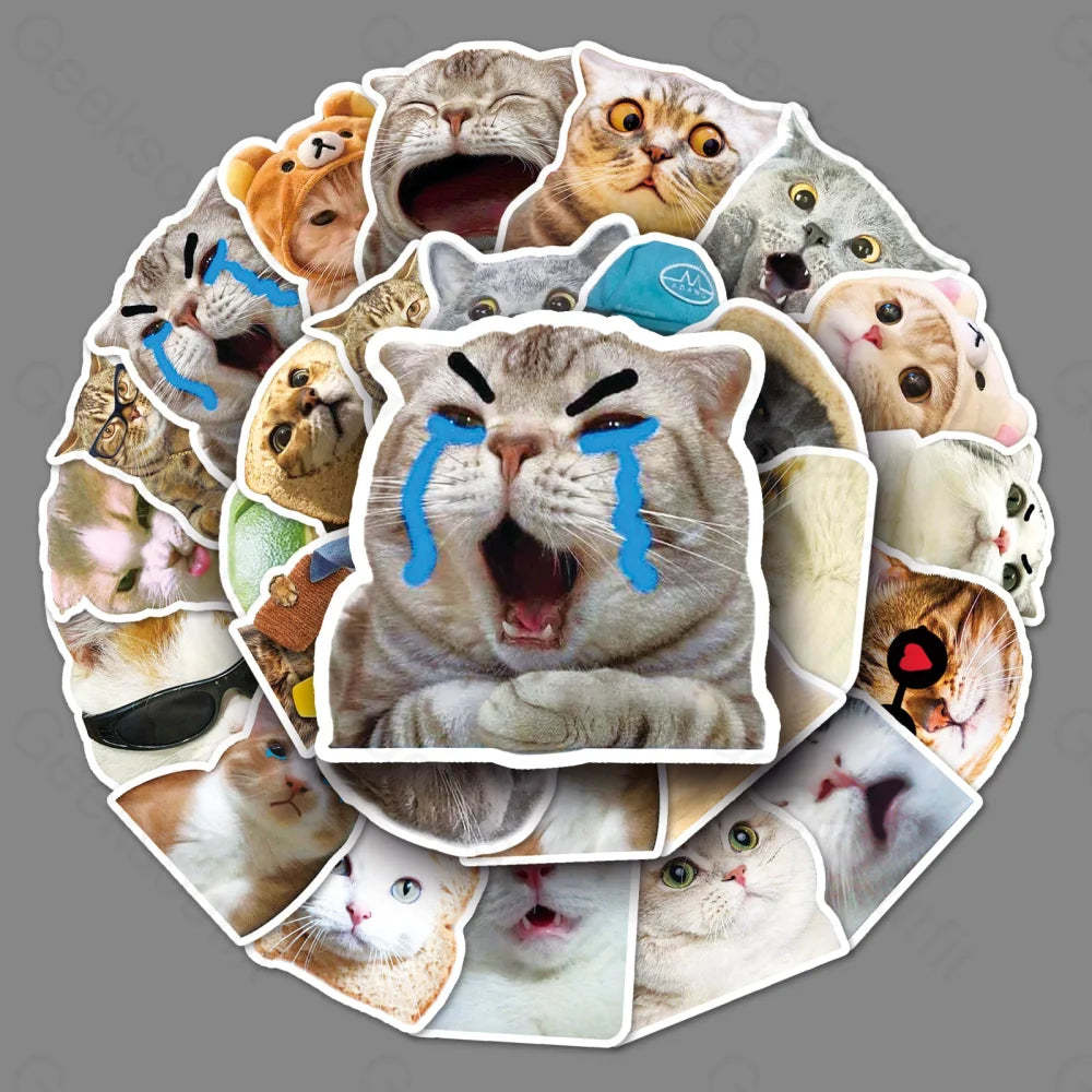 50 Internet Celebrity Cat Graffiti Computer Luggage Stickers