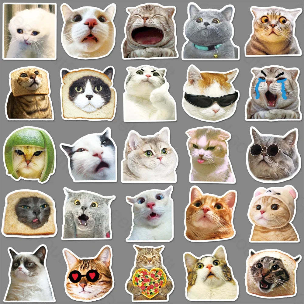 50 Internet Celebrity Cat Graffiti Computer Luggage Stickers Cat Expression Packs-727